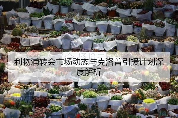 利物浦转会市场动态与克洛普引援计划深度解析